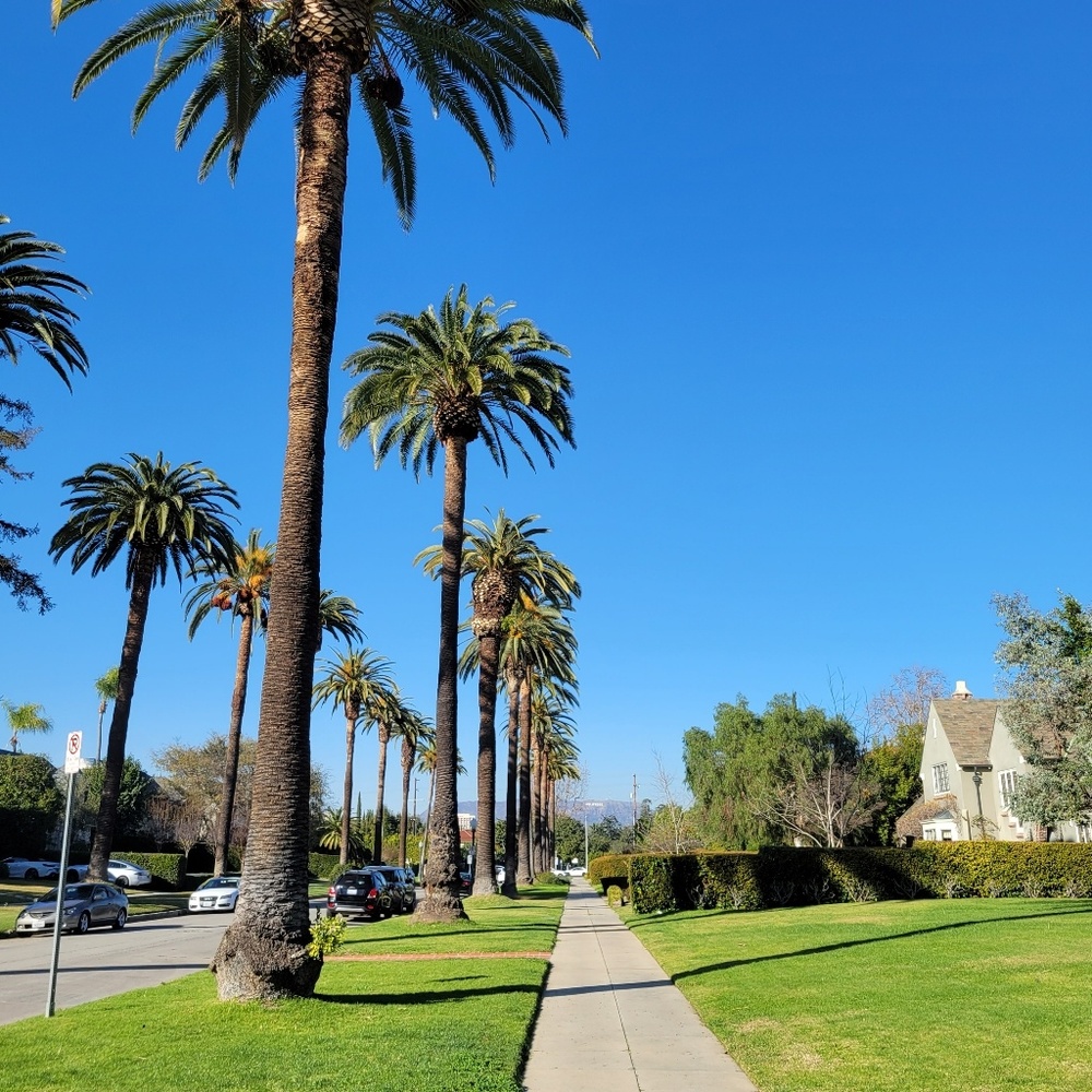 Meet your Posher, Marisol